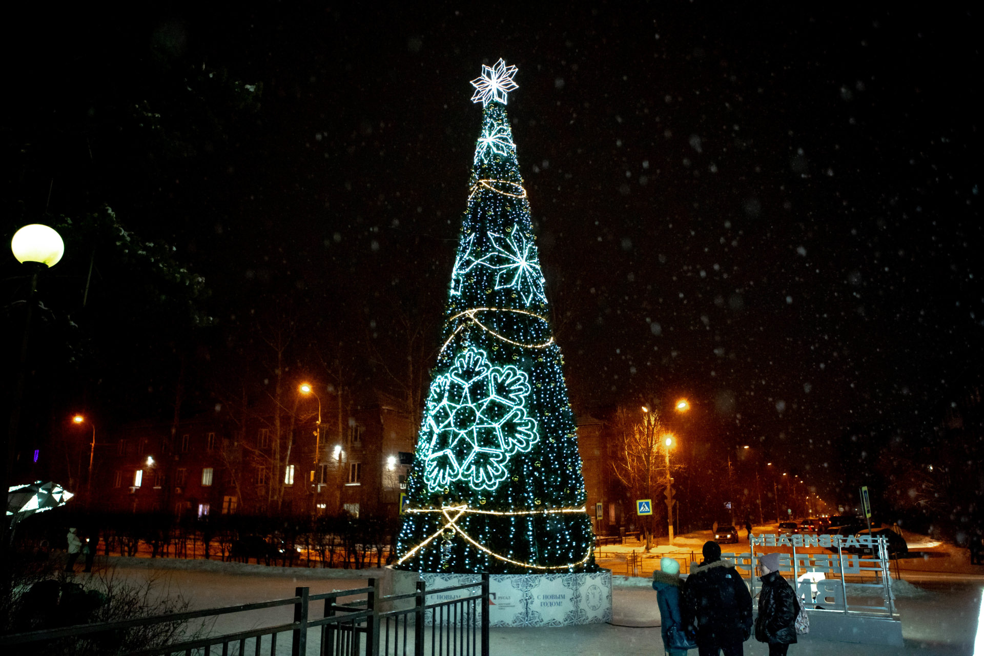 novogodnyaya-el-sk-273-274-275-276-277-0002.jpg