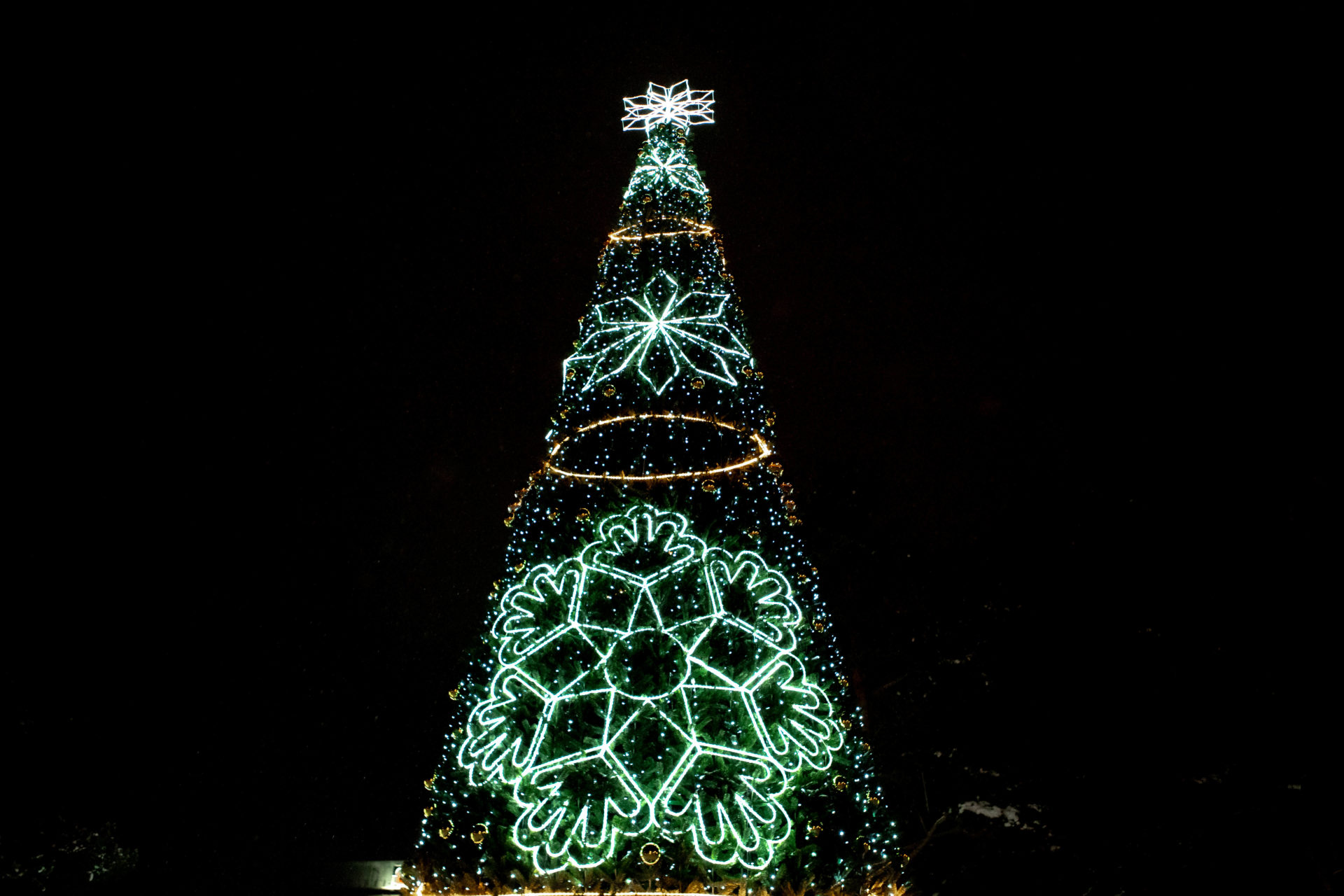 novogodnyaya-el-sk-273-274-275-276-277-0003.jpg