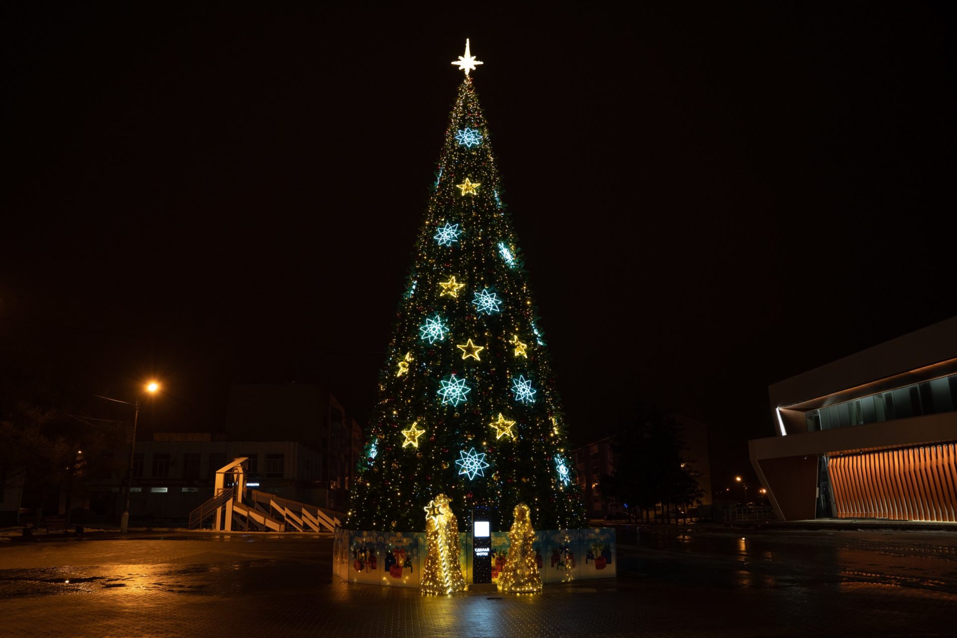 novogodnyaya-el-sk-322-1-2-3-4-5-0007.jpg