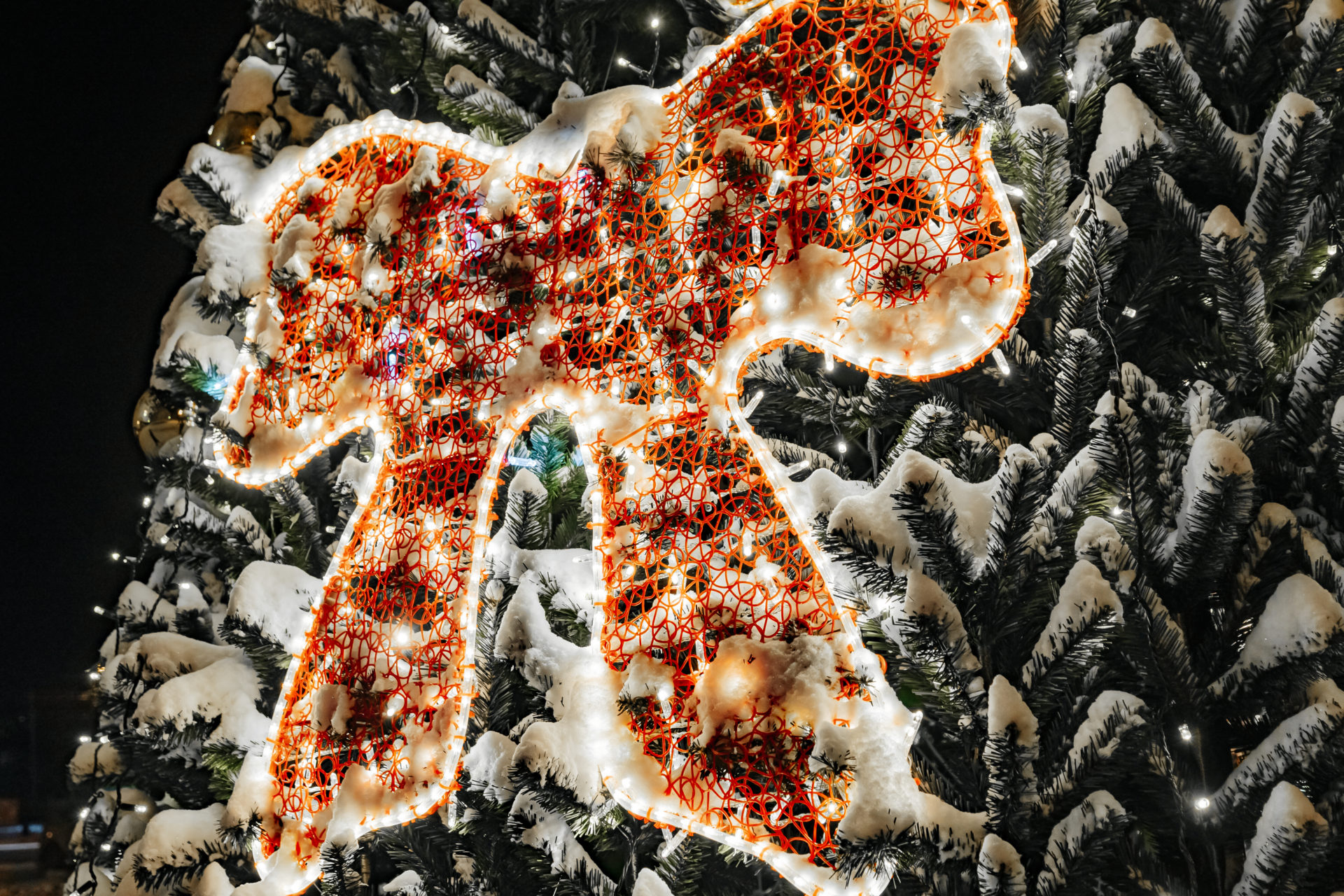 novogodnyaya-el-vysotoj-sk-263-264-265-266-267-0004.jpg
